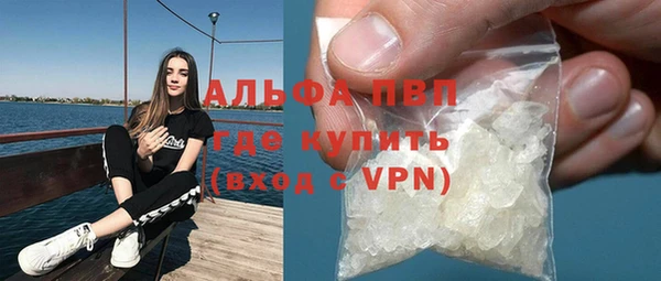 сатива Ахтубинск
