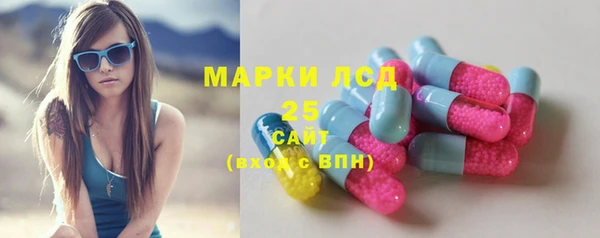 хмурый Аша