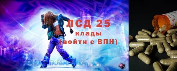 ПСИЛОЦИБИНОВЫЕ ГРИБЫ Липки