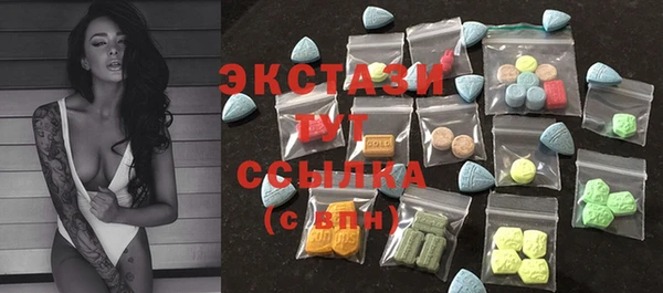 хмурый Аша