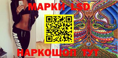 мет Кингисепп