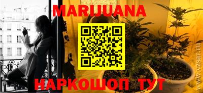 спиды Кинель
