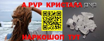 мет Кингисепп