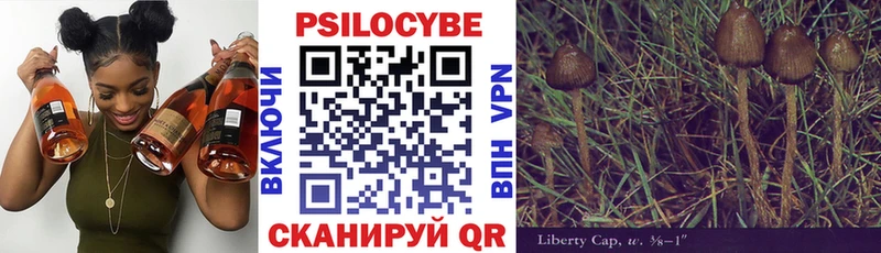 Псилоцибиновые грибы прущие грибы  mega ссылка  Людиново 