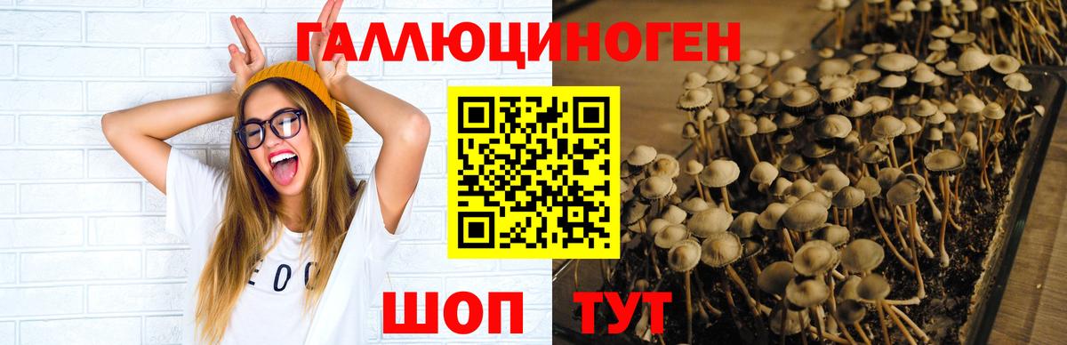 Людиново  Галлюциногенные грибы Magic Shrooms  Вход с VPN 